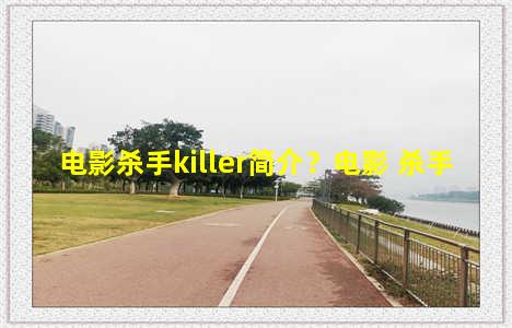 电影杀手killer简介？电影 杀手